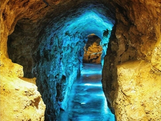 ایرانیان باستان پیشگام کشاورزی پایدار