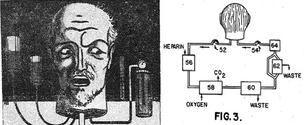 ۳۰ اردیبهشت در دنیای علم چه خبر؟ ۳۰ اردیبهشت در دنیای علم چه خبر؟