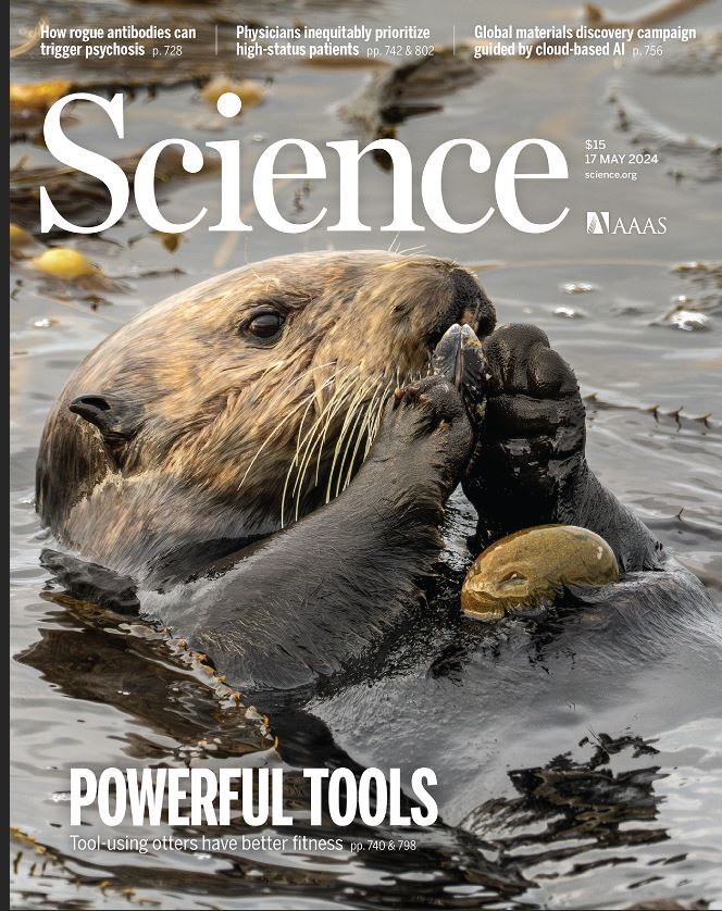 هفته سوم مه؛ از «تبعیض سن‌گرایی» تا «الگو گرفتن از