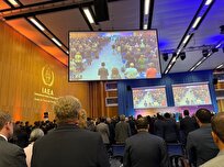 ادای احترام اعضای کنفرانس بین‌المللی امنیت هسته‌ای به درگذشت رئیسی و امیرعبداللهیان