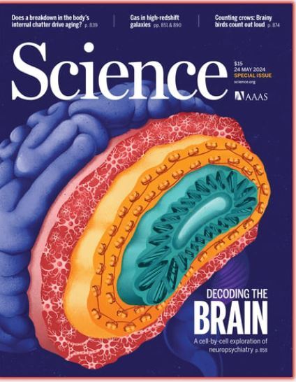 هفته چهارم مه؛ از «معمای تفکر» تا «تصویربرداری تغییرات خورشید طی ۱۱ سال»