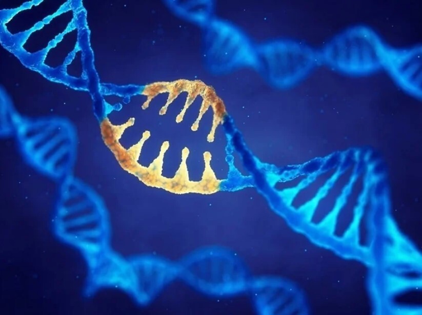 تلفیق فناوری نانو در زندگی روزمره بشر/ صنایعی که بیشترین کاربرد فناوری نانو را دارند