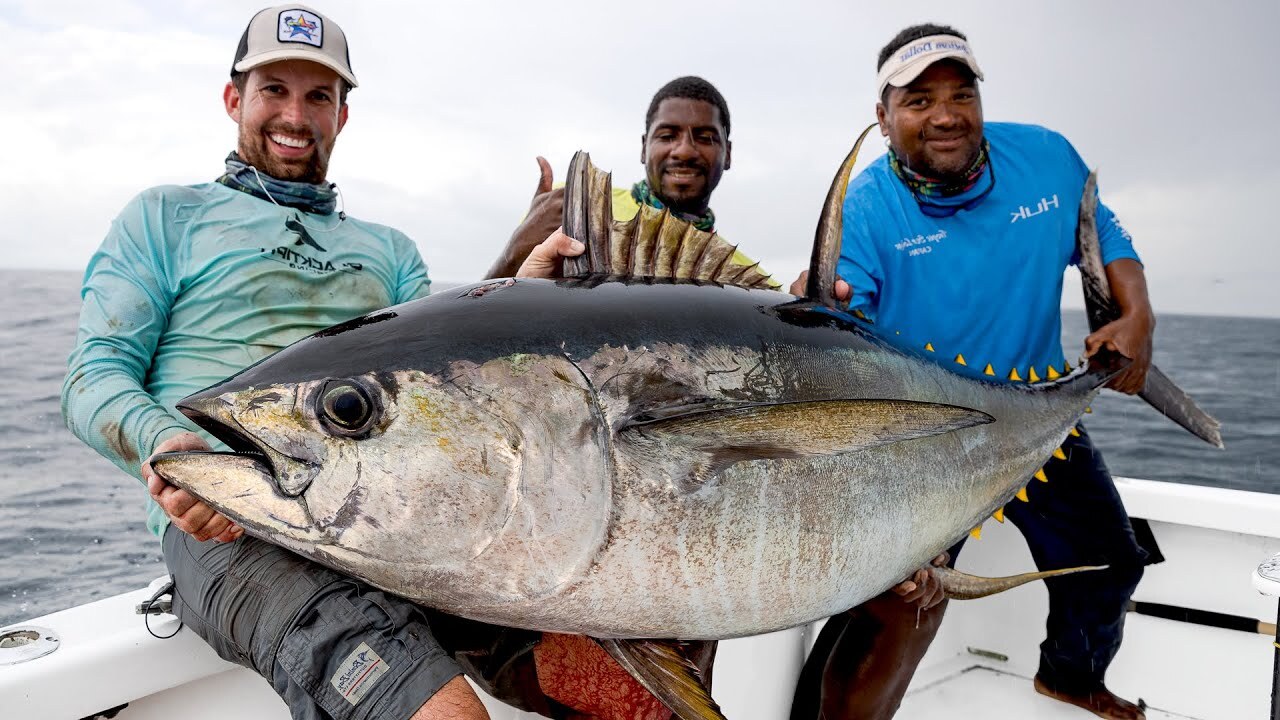 حقایقی که باید در مورد کره زمین بدانیم/ چرا مدیون نهنگ‌ها هستیم؟!
