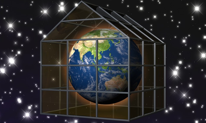 حقایقی که باید در مورد کره زمین بدانیم/ چرا مدیون نهنگ‌ها هستیم؟!