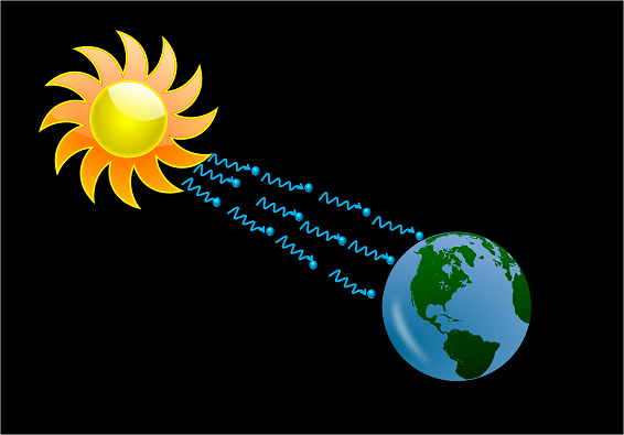 حقایقی که باید در مورد کره زمین بدانیم/ چرا مدیون نهنگ‌ها هستیم؟!