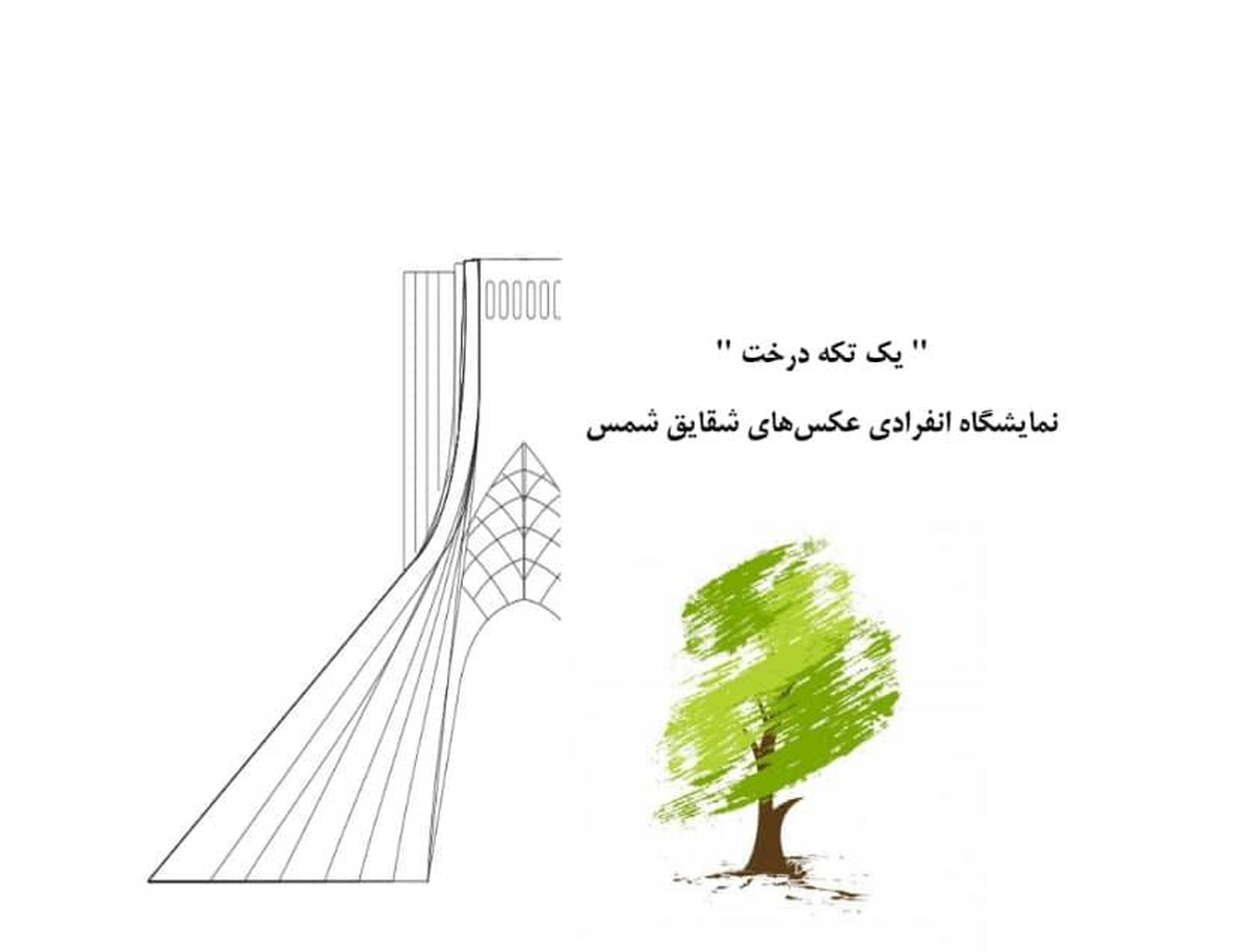 برپایی نمایشگاه عکس «یک تکه درخت» در برج آزادی