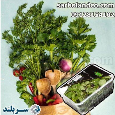 آشنایی با صفر تا صد بسته بندی سبزی