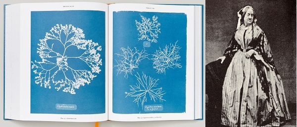 ۲۰ خرداد در دنیای علم چه خبر؟ ۲۰ خرداد در دنیای علم چه خبر؟