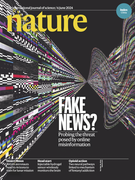 از  «باکتری‌های درون بینی» تا «خطرهای اخبار جعلی برای دنیای ما»