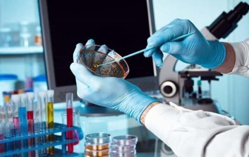 دانشبنیانها از دولت آینده چه میخواهند دانشبنیانها