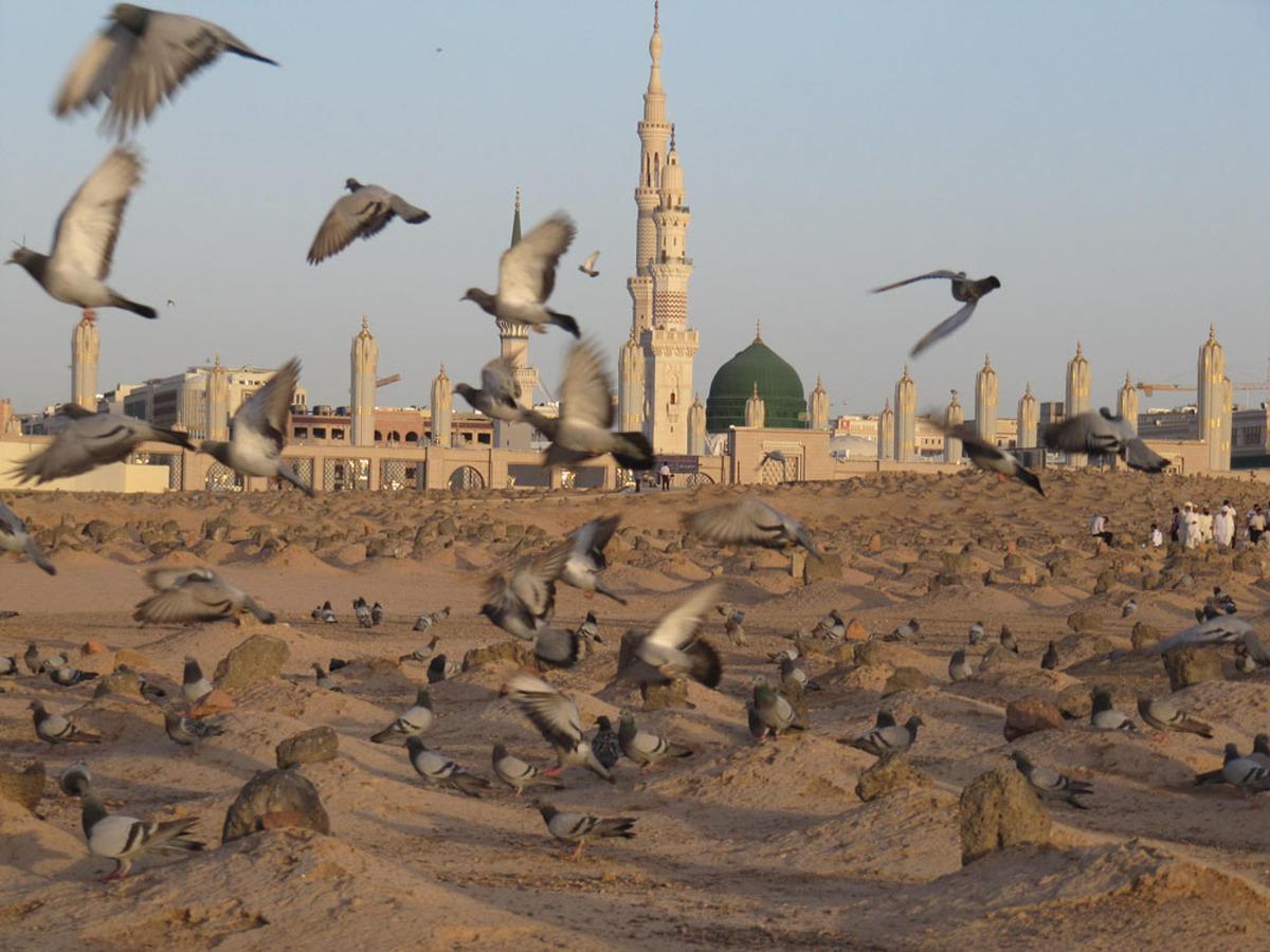 امام محمدباقر (ع) و رسالت نیروسازی علمی و روشنگری در زمانهای سخت امام محمدباقر (ع) و رسالت نیروسازی علمی و روشنگری در زمانهای سخت