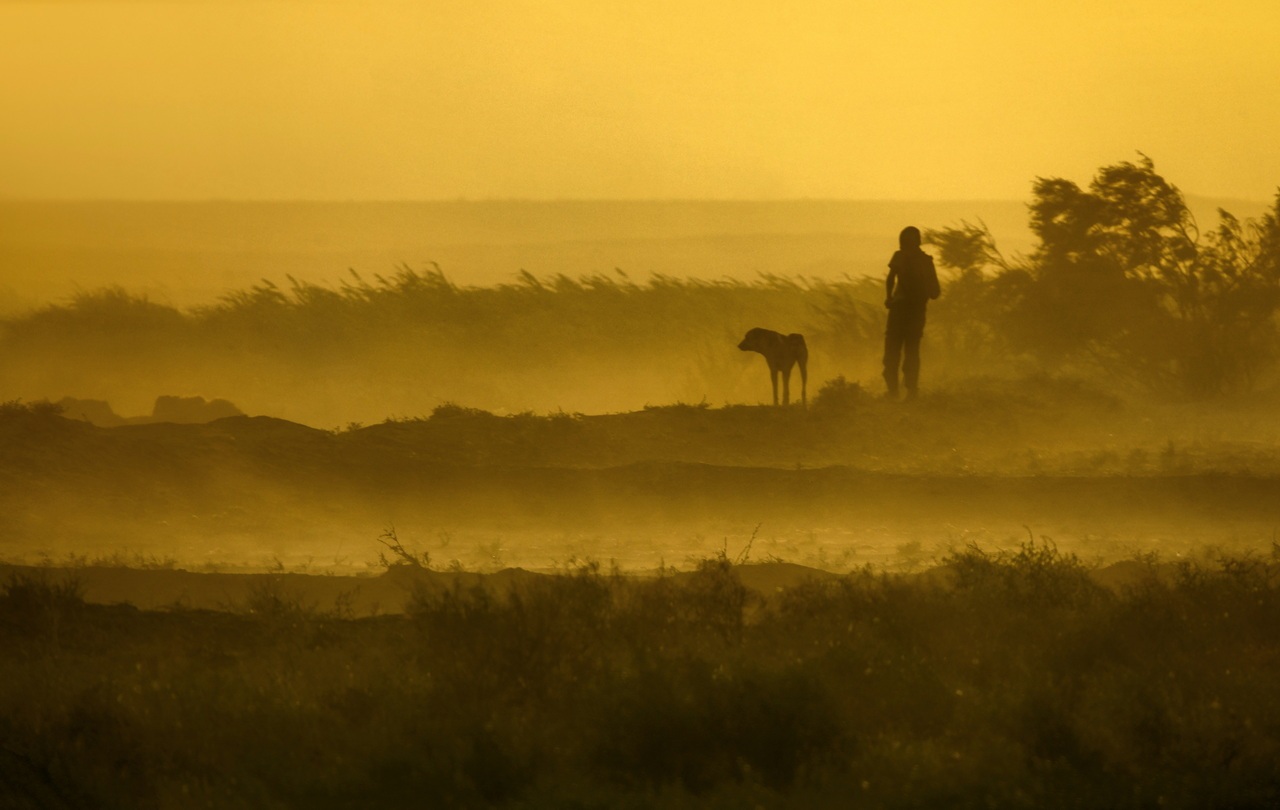 نکاتی در مورد استفاده از فضای منفی در عکس‌ها