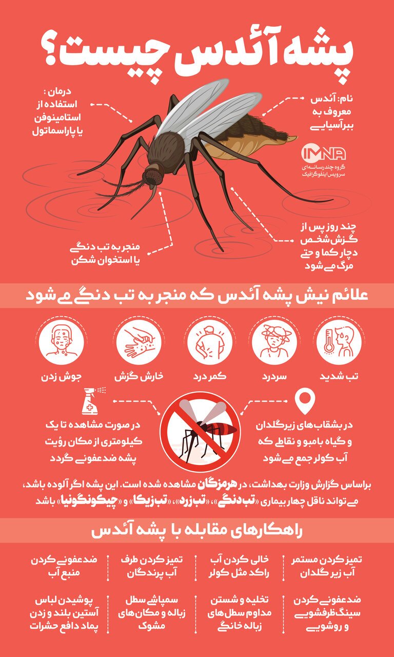 مراقب پشه آئدس باشید/ راههای پیشگیری از تب دانگی مراقب پشه آئدس باشید/ راههای پیشگیری از تب دانگی