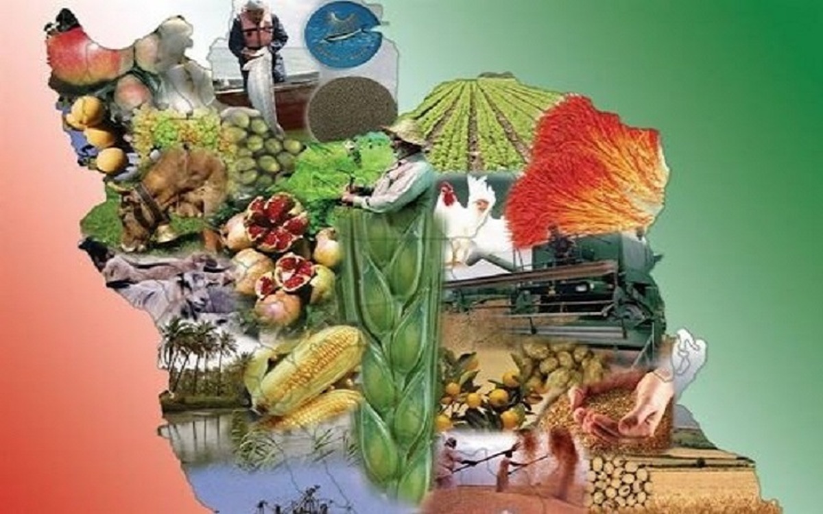 نقش شاخص‌های ده‌گانه در تدوین نقشه تغذیه کشور