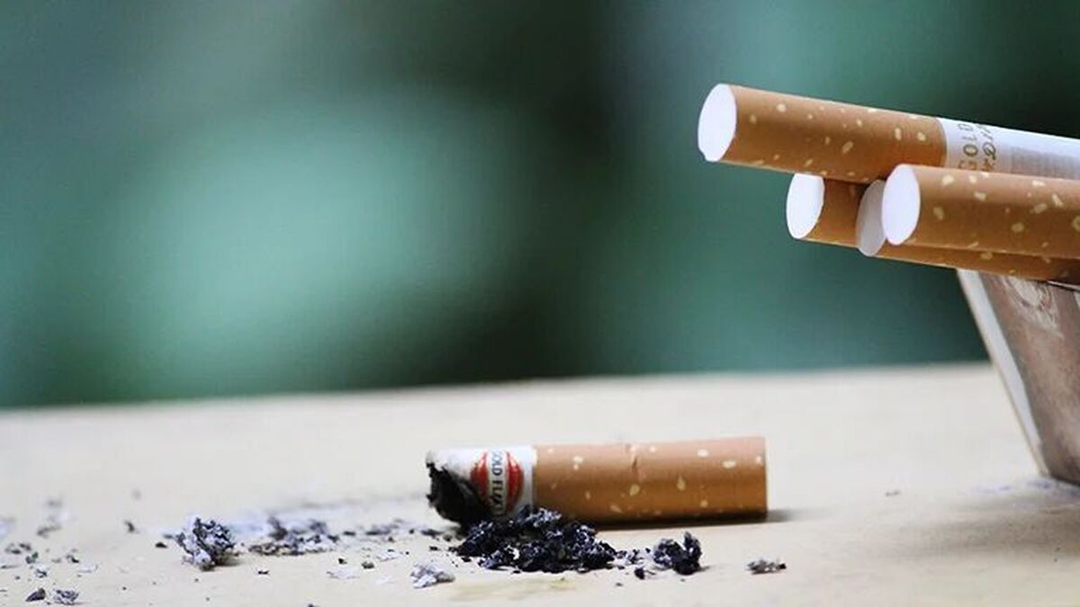قلیان سن مصرف دخانیات را کاهش داده است  استعمال سیگار عادی‌سازی نشود