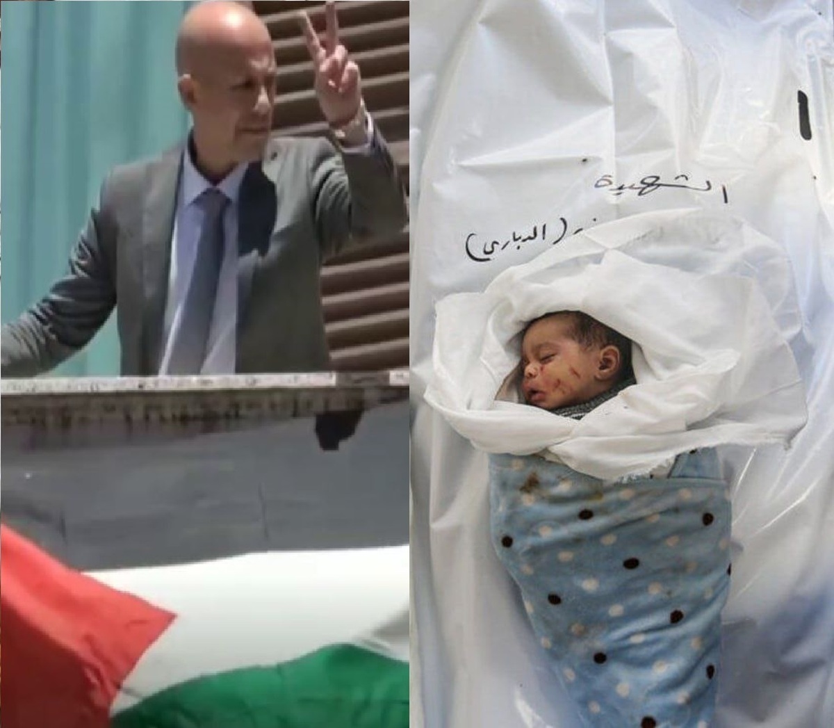 پرچم فلسطین روی ساختمان پارلمان ایتالیا به اهتزاز درآمد+ فیلم