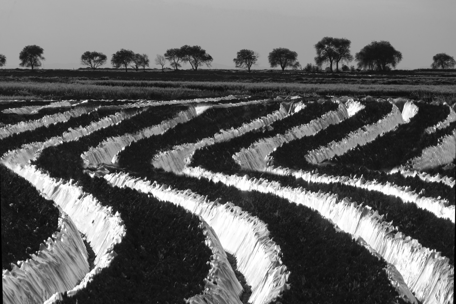 ۱۰ نکته کاربردی در «عکاسی منظره»