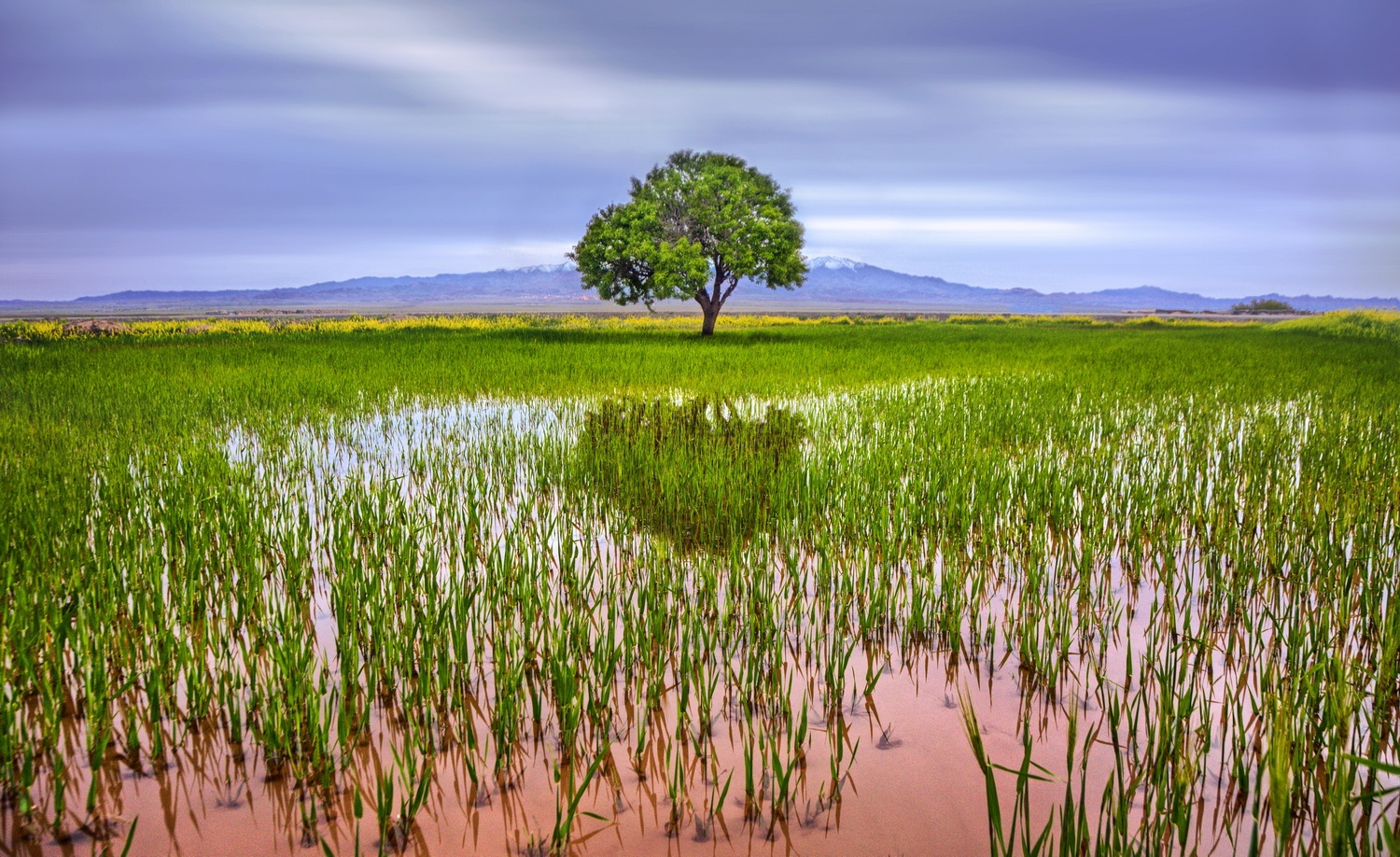 ۱۰ نکته کاربردی در «عکاسی منظره»