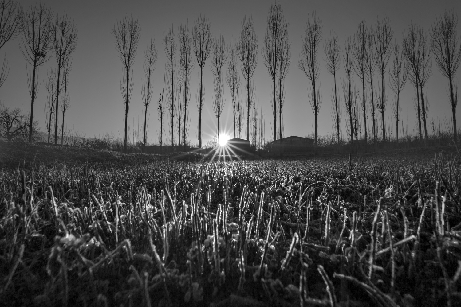 ۱۰ نکته کاربردی در «عکاسی منظره»