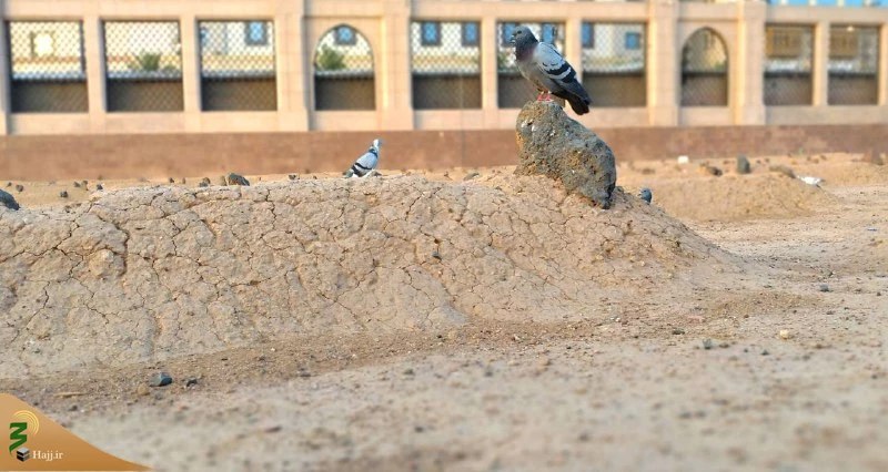 در پناه بهشت بقیع + عکس