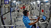 گورخرماهی انتخاب چین برای آزمایش‌های فضایی در ایستگاه مداری