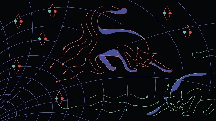 تناقض اطلاعات سیاهچاله| سیاه، میان نسبیت عام و مکانیک کوانتومی! تناقض اطلاعات سیاهچاله| سیاه، میان نسبیت عام و مکانیک کوانتومی!