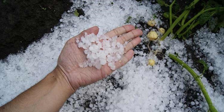 کشور تا ۱۵ سال آینده با عوارض ناشی از تغییرات اقلیمی روبه رو است / خسارات گسترده کشاورزان در بارش های اخیر کشور تا ۱۵ سال آینده با عوارض ناشی از تغییرات اقلیمی روبه رو است / خسارات گسترده کشاورزان در بارش های اخیر