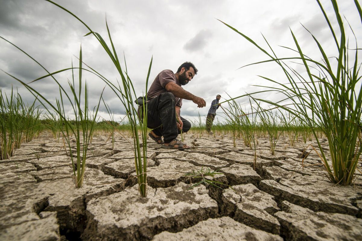 ایران تا ۱۵ سال در محاصره عوارض تغییرات اقلیمی/کاهش خسارت کشاورزان با سامانههای پیش اخطار خسارت کشاورزان