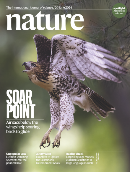 هفته اول ژوئیه؛ از کیسه هوای شاهین‌ها تا پرسش‌های بی‌شمار انسان درباره کیهان