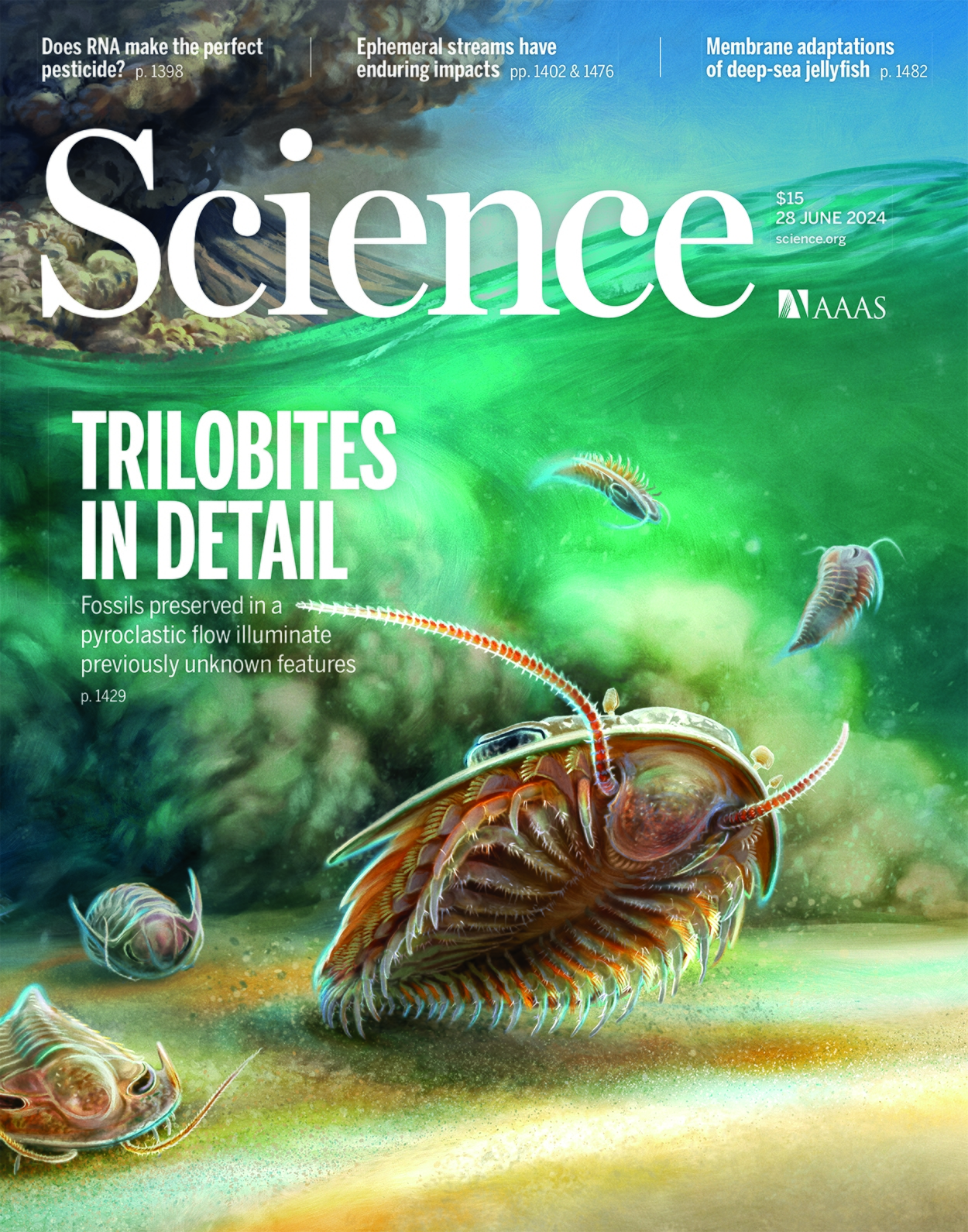 هفته اول ژوئیه؛ از کیسه هوای شاهین‌ها تا پرسش‌های بی‌شمار انسان درباره کیهان