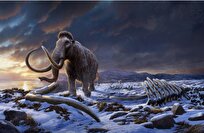 علت انقراض آخرین نسل ماموت‌ها کشف شد