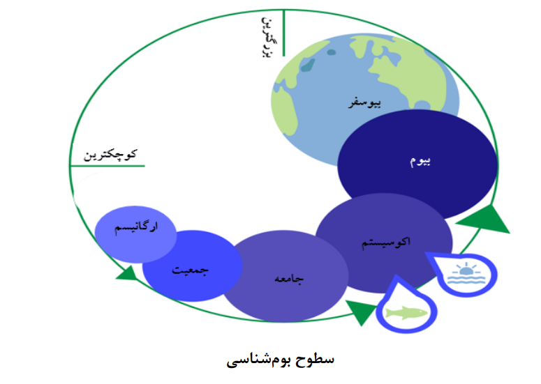استعاره «بیوم ملی نوآوری» یا «نظام ملی نوآوری»؟ استعاره «بیوم ملی نوآوری» یا «نظام ملی نوآوری»؟