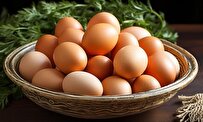 آشنایی با خواص شگفت‌انگیز تخم‌ مرغ+ جدول ارزش غذایی