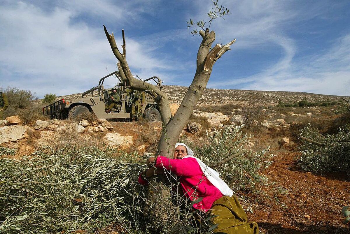 محیط زیست قربانی مظلوم جنگ غزه/ اسرائیل چگونه شاخه صلح را شکست؟