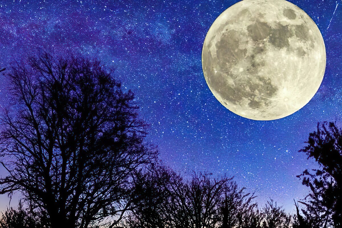  اگر ماه نبود چه بر سر زمین می‌آمد؟