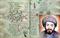 ابوحنیفه دینوری، دانشمندی از دیار دینور| گیاه‌شناسی ایرانی در رقابت با نوابغ یونانی