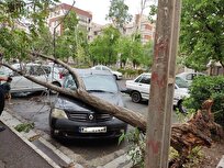 باد و باران شدید مهمان ناخوانده ۱۳ استان/ پایتخت امروز طوفانی است