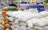 رفع چالش‌های صنعت برنج مطالبه فعالان اقتصادی از رئیس جمهور جدید