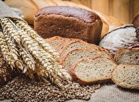 آغاز فاز اجرایی ساخت سیستم فرآوری نان کامل/ طرح بهینه‌سازی نان‌های سنتی چه ویژگی‌هایی دارد؟