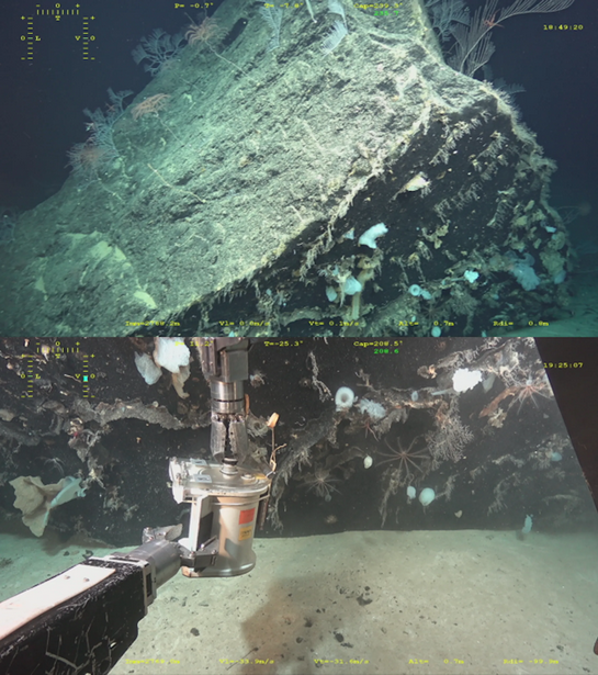 درباره فضا بیشتر میدانیم یا اعماق اقیانوسها؟ درباره فضا بیشتر میدانیم یا اعماق اقیانوسها؟
