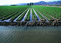 بهره‌وری صنعت کشاورزی با ساخت تجهیزات سامانه‌های آب پلاسمایی افزایش می‌یابد