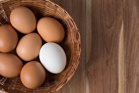 تخم-مرغ-قهوه‌ای-رنگ-نشانه-ارزش-غذایی-بالا-نیست