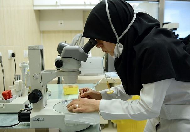 دختر میخواهید یا پسر؛ انتخاب جنسیت جنین به سلیقه خانوادهها دختر میخواهید یا پسر؛ انتخاب جنسیت جنین به سلیقه خانوادهها