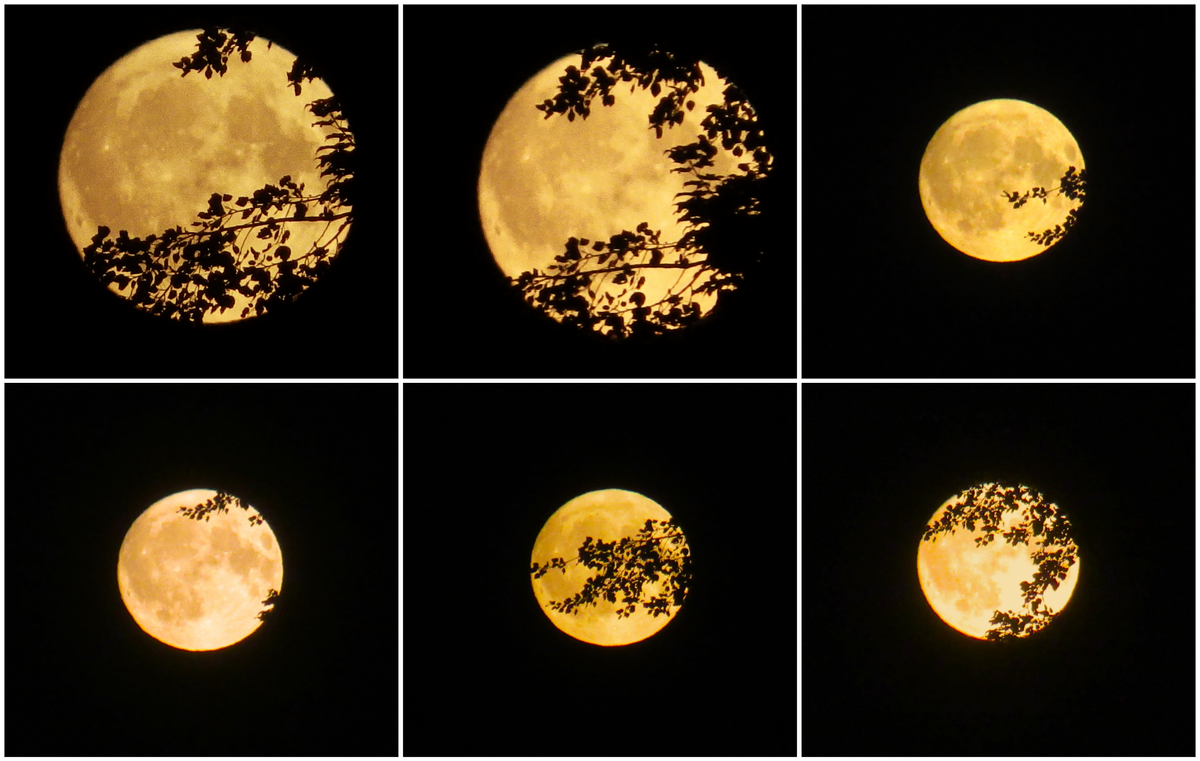 تصاویر نجومی سی‌ویکم تیر (۲۱ ژوئیه)