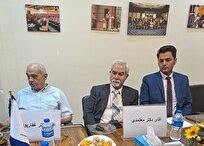 همایش روز جهانی مغز برگزار می‌شود/ روزانه ۴۰۰ تا ۵۰۰ نفر دچار سکته مغزی می‌شوند