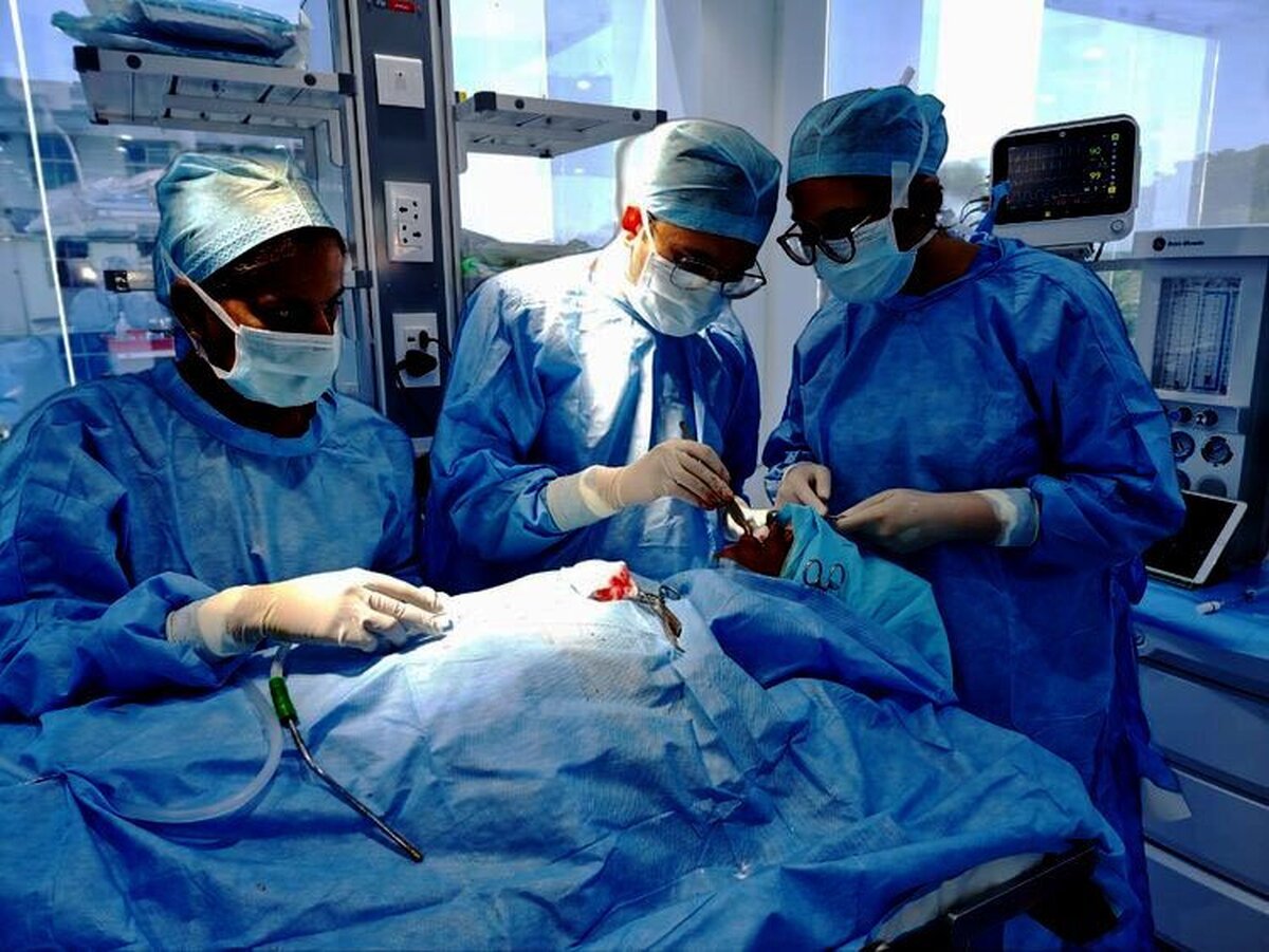 بهترین جراح فک و صورت و بهترین جراح بینی در تهران