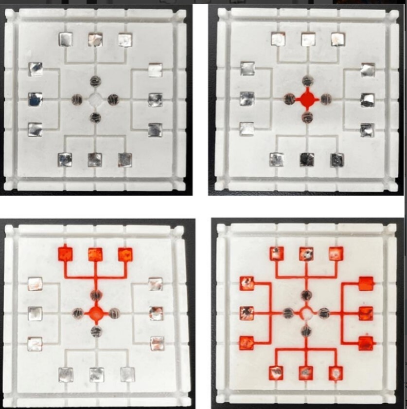 تشخیص آلایندههای غذایی با ریزتراشه امکان پذیر شد تشخیص آلایندههای غذایی با ریزتراشه امکان پذیر شد