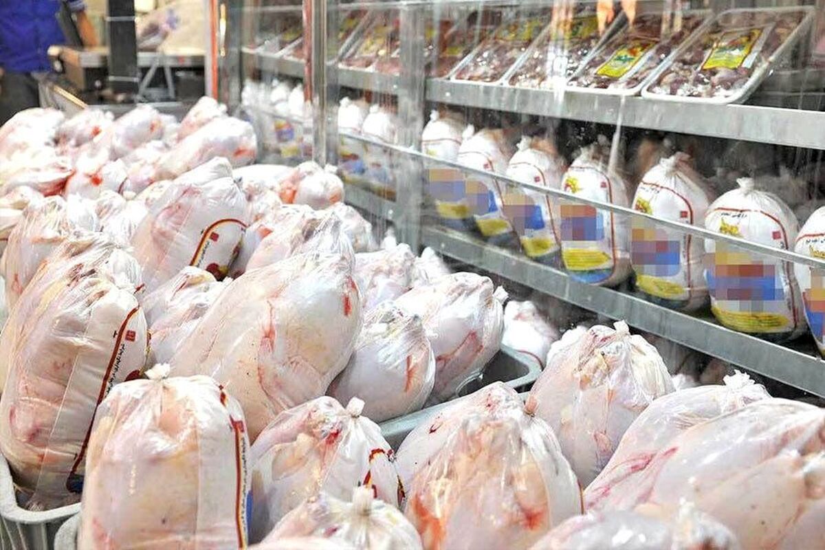 عدم صدور مجوز صادرات مرغ مازاد از سوی وزارت جهاد کشاورزی