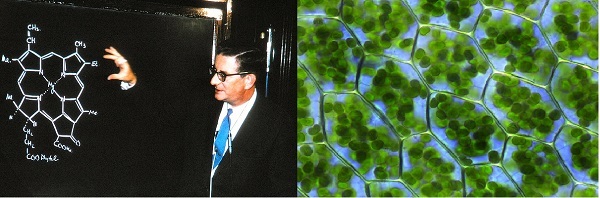 ۷ تیر در دنیای علم چه خبر؟ ۷ تیر در دنیای علم چه خبر؟