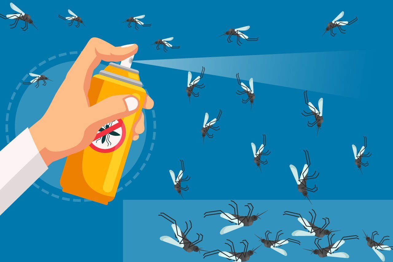 بررسی رفتار حشرات در فصل تابستان